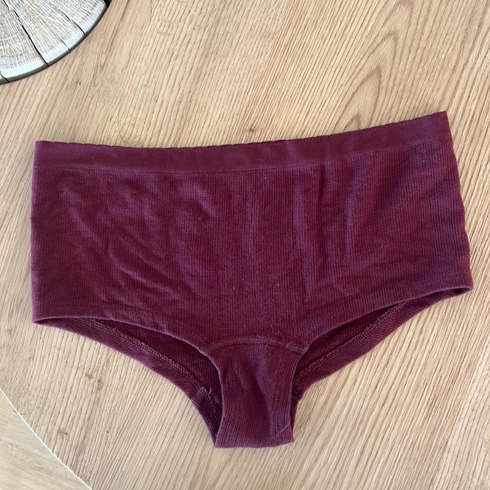 Anthropologie Hipster Brief (S/M)